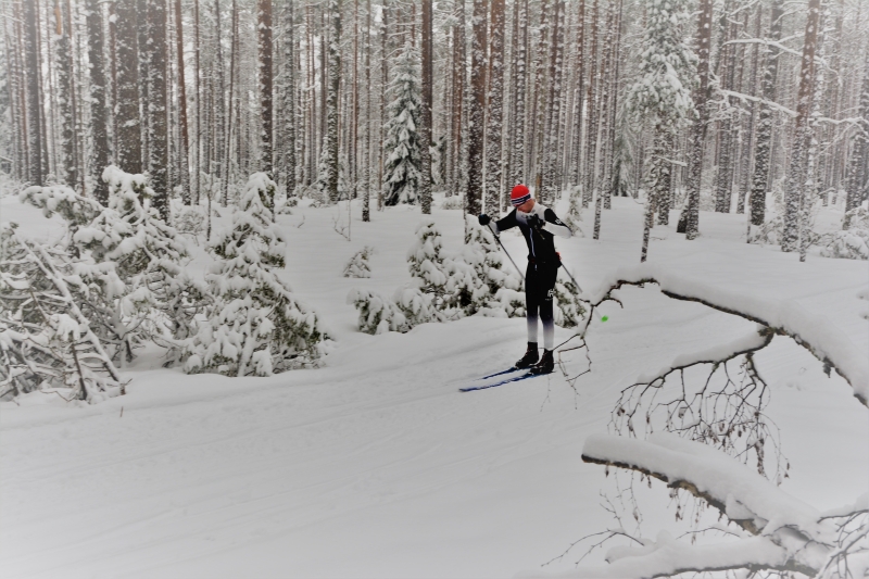 Klikkaamalla seuraava kuva